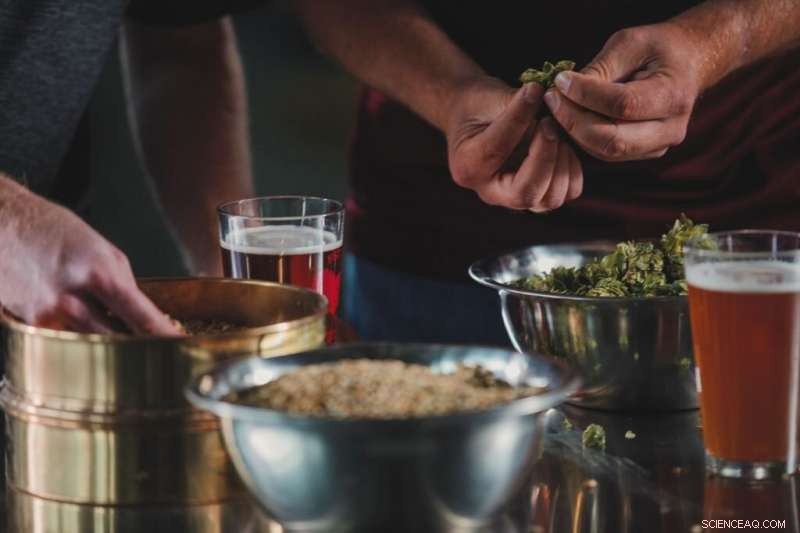 CO₂ Shortage Threatens Rising Beer Prices, Warns Virginia Tech Expert