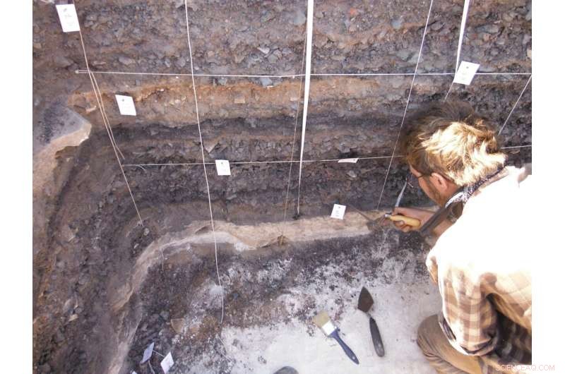 Archaeological Evidence Shows 3,000 Years of Human Activity Destroyed Timna Valley s Vegetation