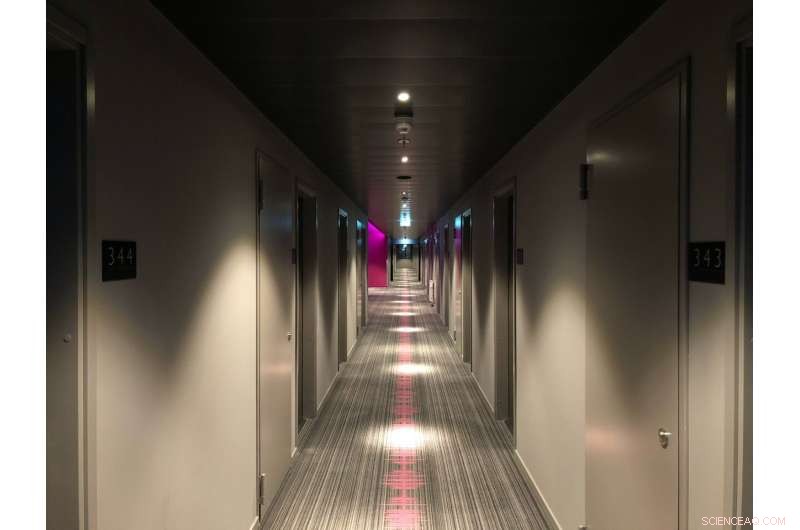 12% of South Africa’s Working Women Are Domestic Workers—Facing Inadequate Maternity Leave and Pay