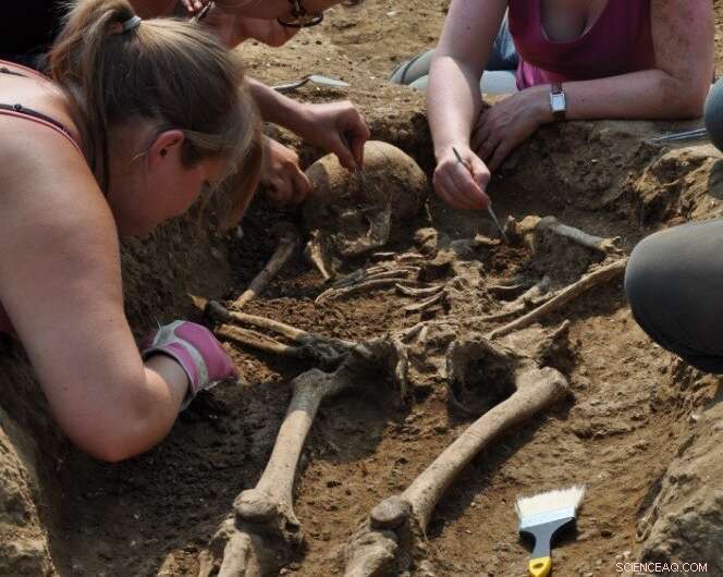 Uncovering the Anglo‑Saxon Migration: Fresh Genetic Insights
