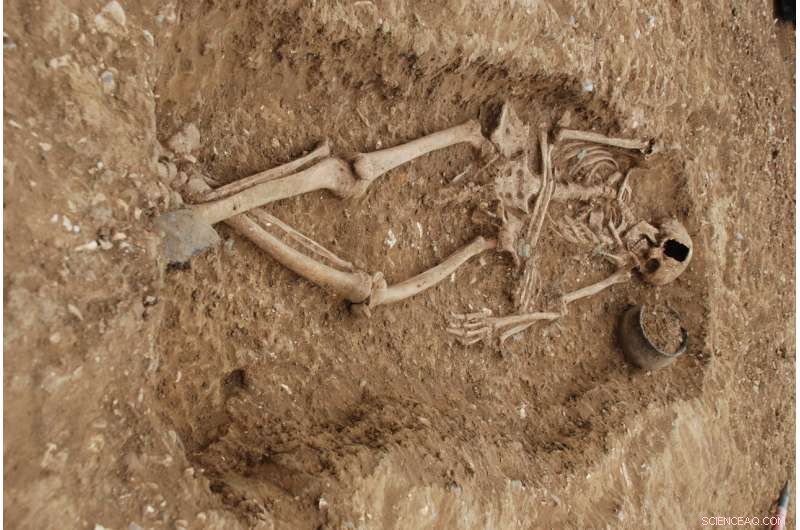 Uncovering the Anglo‑Saxon Migration: Fresh Genetic Insights