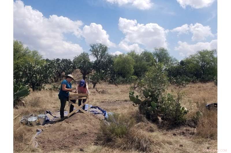 New Clues Shed Light on the Collapse of Mexico’s Ancient City of Teotihuacan