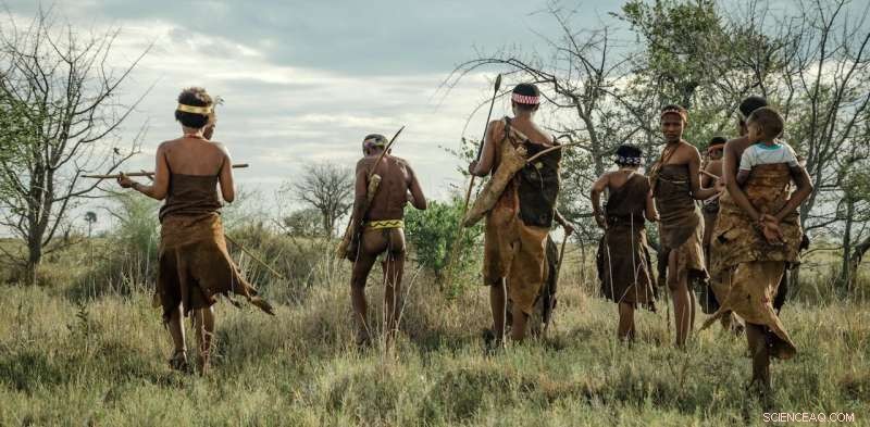 The Origins of Patriarchy and the Potential for Its Evolutionary End