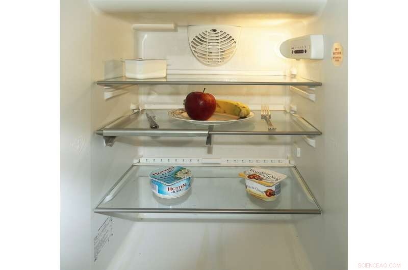 Rethinking Poverty: Why Blaming Personal Choices Fails to Address Food Insecurity