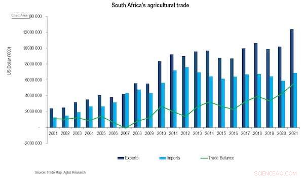 South Africa’s Farm Exports: Vital Economic Driver Facing Key Challenges