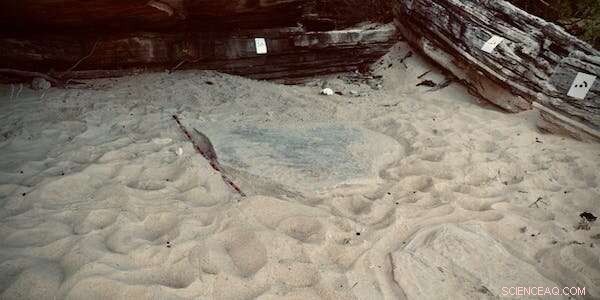 Climate Change Devastates Indigenous Heritage: Crumbling Rock Art and Exposed Ancestral Remains