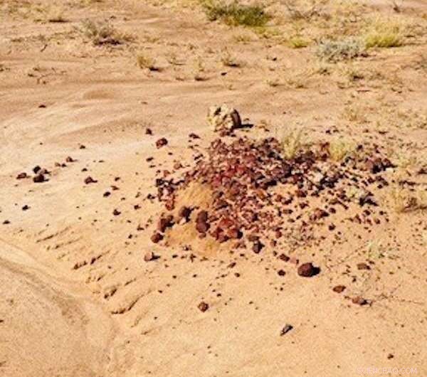 Climate Change Devastates Indigenous Heritage: Crumbling Rock Art and Exposed Ancestral Remains