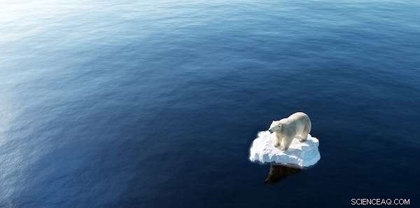 Do Scientific Facts Last Forever? History Shows They’re Often Temporary