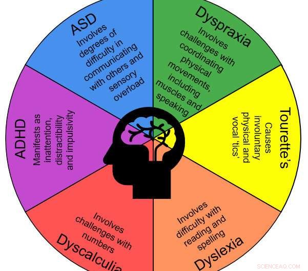 Why Employers Should Champion Neurodiversity in the Workplace