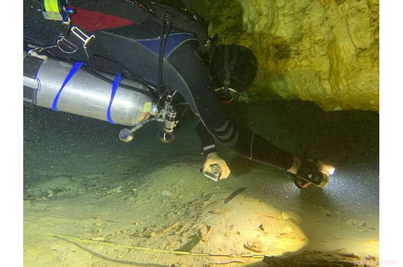 Prehistoric Skeleton Unearthed in Tulum Cave Faces Threat from Planned High‑Speed Train