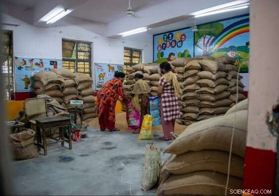 Food Security: A Global Call for Collaborative Solutions