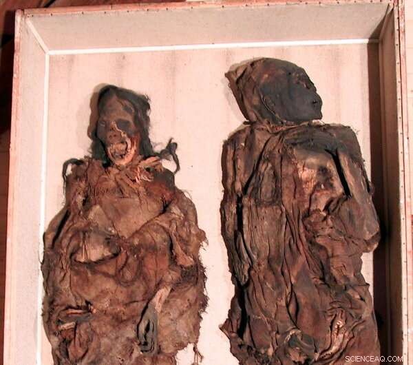 Forensic Analysis of South American Mummies Confirms Brutal Murders