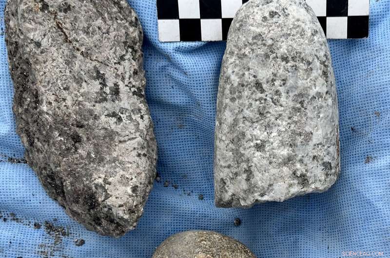 Uncovering the Secrets of an Ancient Maya Settlement in Spanish Lookout