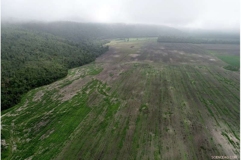 Uncovering the Secrets of an Ancient Maya Settlement in Spanish Lookout