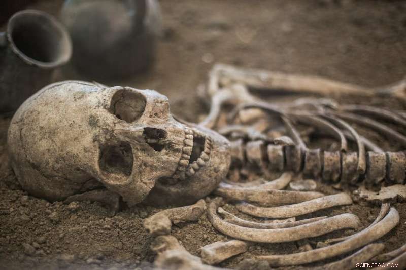 Revolutionary DNA Technique Could Fix Radiocarbon Dating Issues