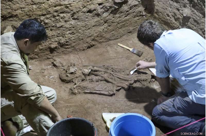 31,000-Year-Old Borneo Skeleton Missing Foot Reveals Earliest Known Amputation