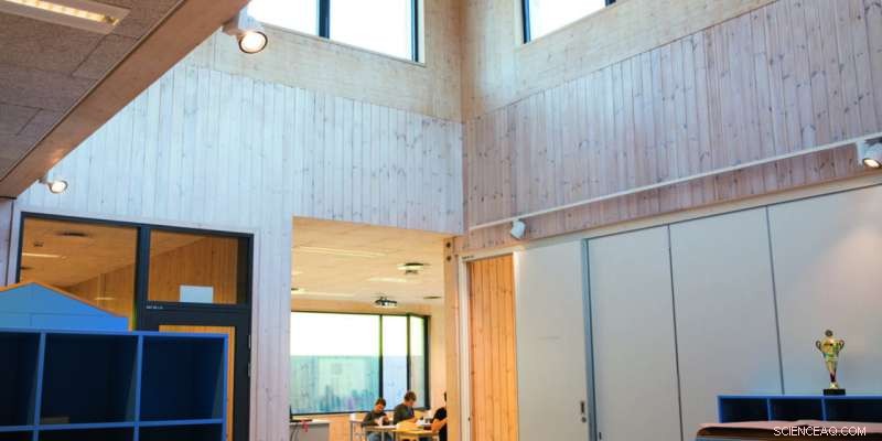 How Light Shapes Student Learning and Well‑Being