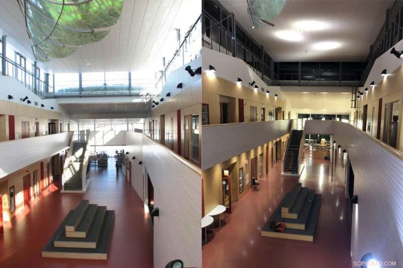 How Light Shapes Student Learning and Well‑Being