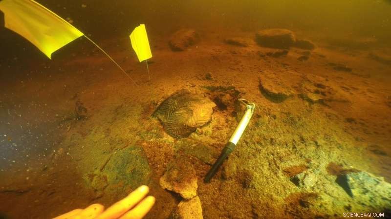 University of Bristol Reveals Neolithic Cooking Practices