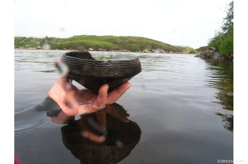 University of Bristol Reveals Neolithic Cooking Practices