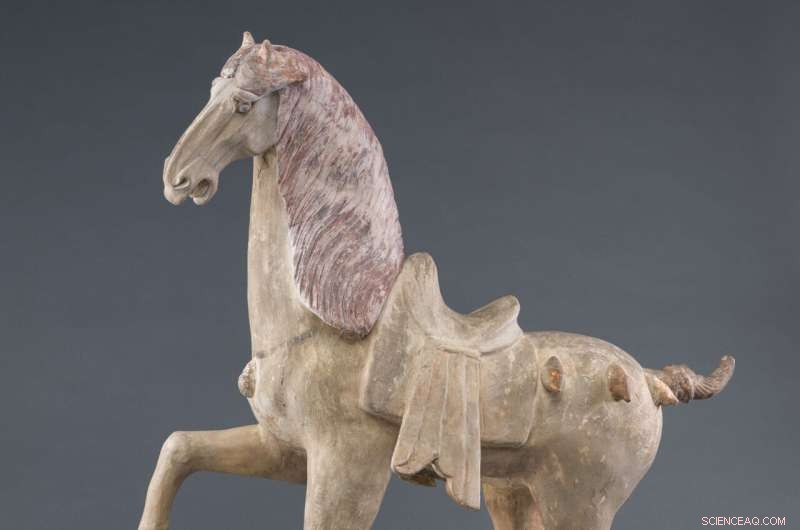 Cincinnati Art Museum Unveils 1,300‑Year‑Old Tang Horse with Science