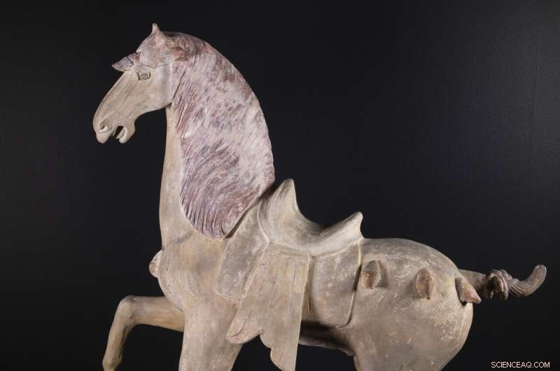 Cincinnati Art Museum Unveils 1,300‑Year‑Old Tang Horse with Science