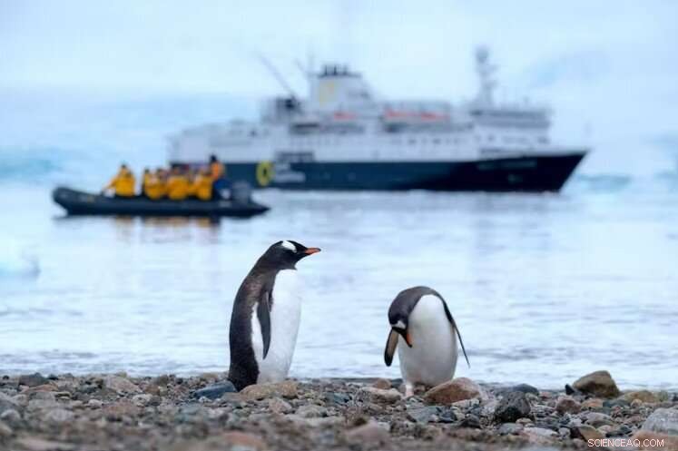 Sexual Harassment in Antarctica s Research Stations: Urgent Need for Reform
