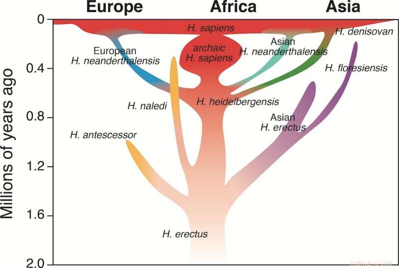 Neanderthals Vanished 40,000 Years Ago, Yet Their DNA Continues to Shape Modern Humans