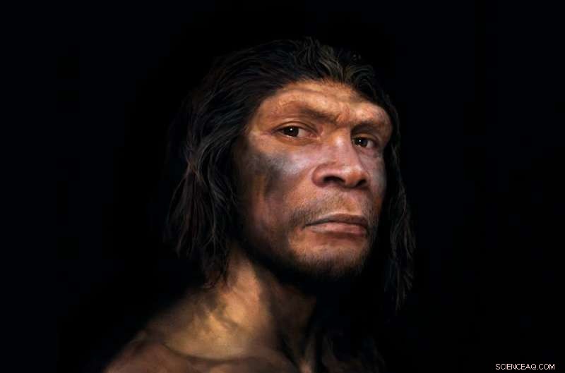 Neanderthals Vanished 40,000 Years Ago, Yet Their DNA Continues to Shape Modern Humans