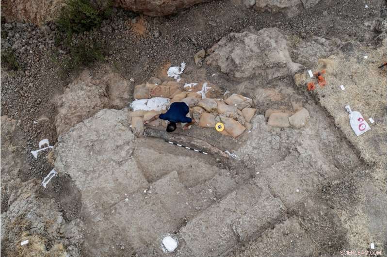 Israeli Archaeologists Unearth Largest Ancient Elephant Tusk in the Near East