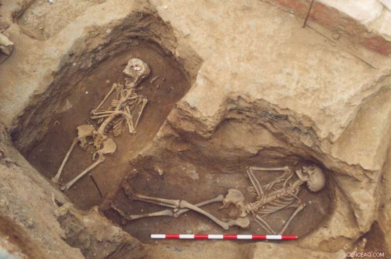 Roman Empire Burials: Funerary Meals Mirror Everyday Diet, Study Finds