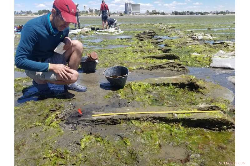 Scientists Identify Patagonia Shipwreck as 1850s Rhode Island Whaling Vessel  Dolphin 