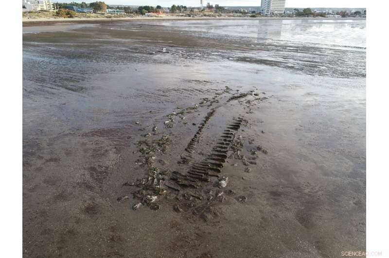 Scientists Identify Patagonia Shipwreck as 1850s Rhode Island Whaling Vessel  Dolphin 