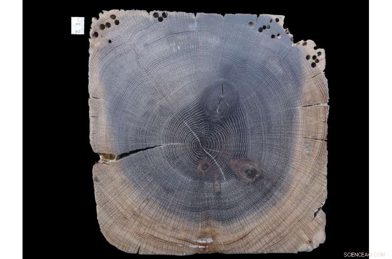 Scientists Identify Patagonia Shipwreck as 1850s Rhode Island Whaling Vessel  Dolphin 