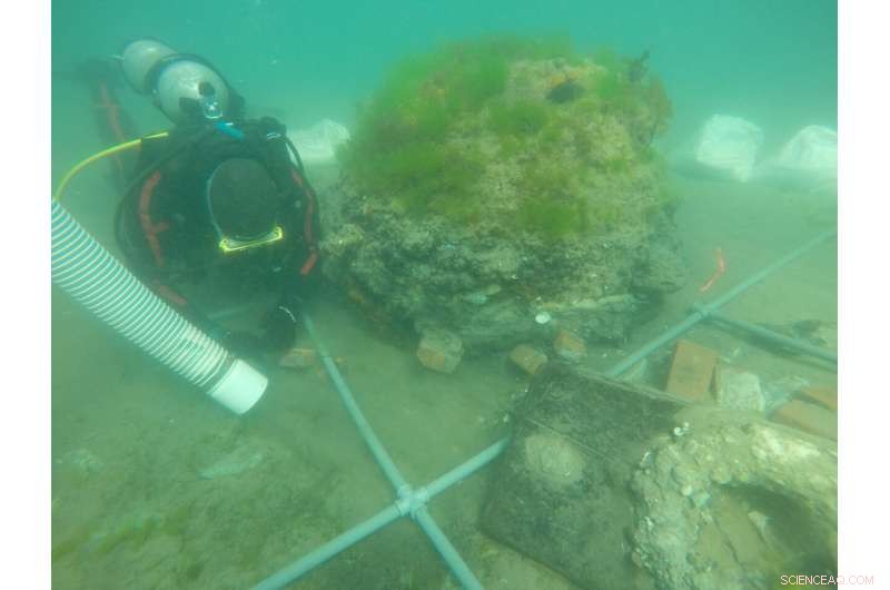 Scientists Identify Patagonia Shipwreck as 1850s Rhode Island Whaling Vessel  Dolphin 