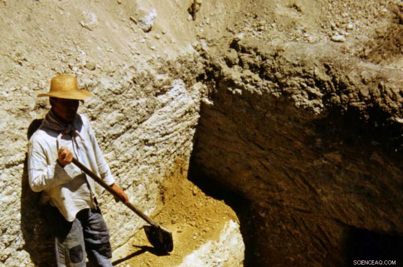 DNA Analysis Confirms Griffin Warrior Governed Ancient Greek Homeland