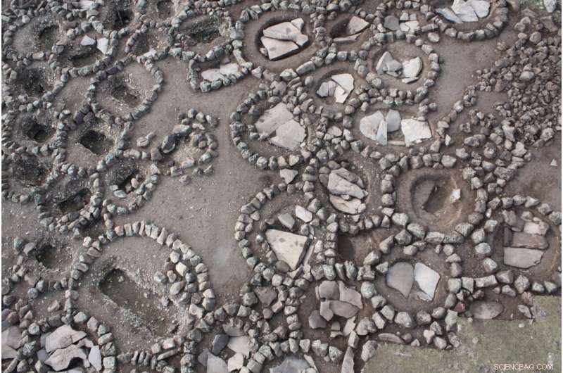 New Paleogenetic Study Illuminates Migration, Agriculture, and Language Evolution Along the Southern Arc