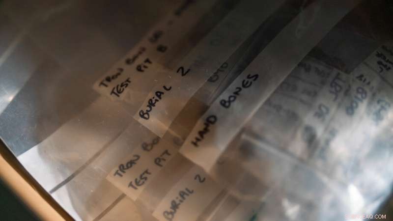 Alor Island burial finds illuminate earliest human societies in Indonesia