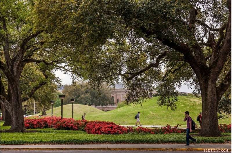 New Study Reveals LSU Campus Mounds as North America’s Oldest Human-Made Structures