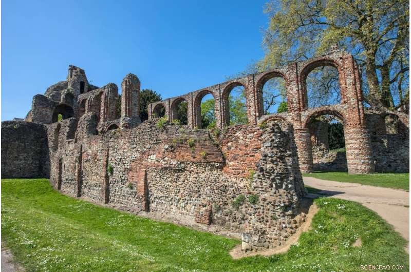 Worms in the Middle Ages: Why Monks Had Higher Rates than Common Folk