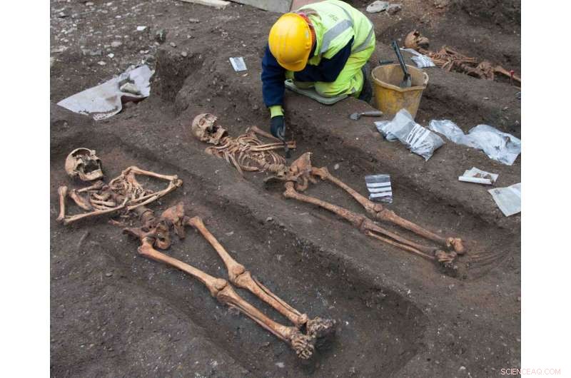 New Study Reveals Higher Parasite Rates Among Medieval Cambridge Friars