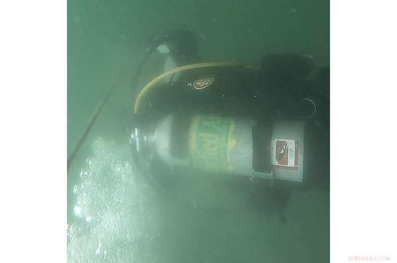 Scientists Warn: Shipworms Threaten Captain Cook s Endeavour Wreck