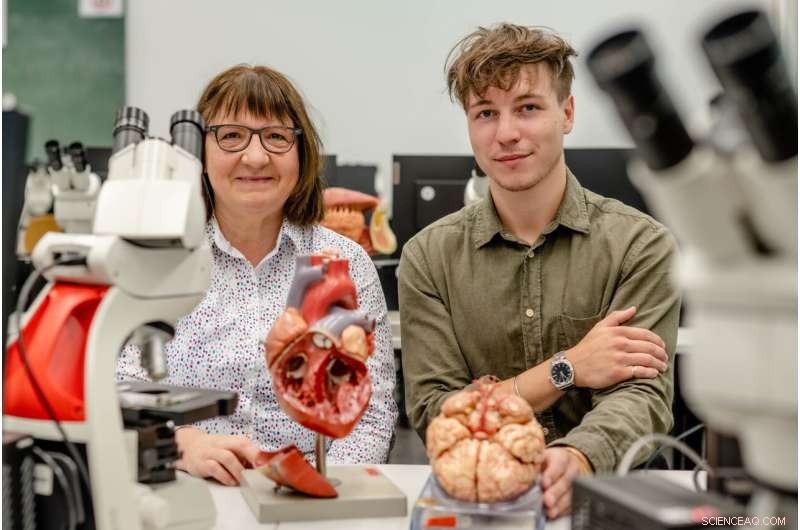 Online Learning Provokes Distinct Physiological Responses in Students