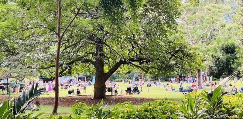 Loneliness Hits 25% of Australians – How Urban Green Spaces Can Help