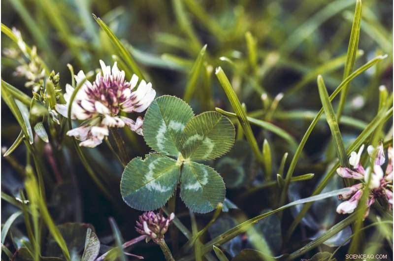 Global Survey Reveals How Belief in Magic Differs Across Cultures