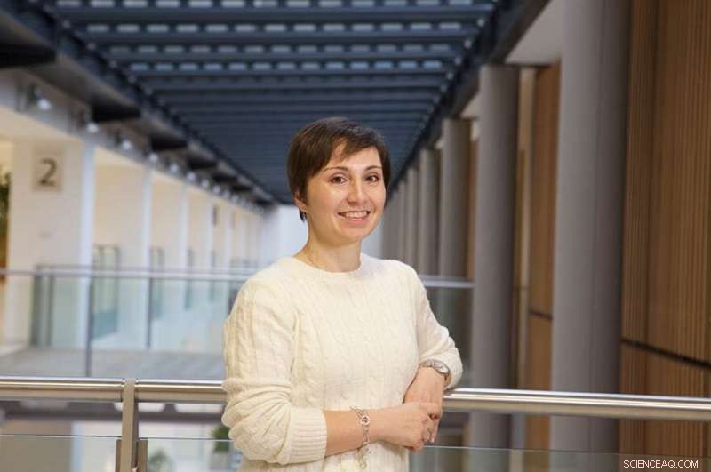 New Study Maps Worker Performance Over Career: Complex Roles Boost Agility in Aging Employees