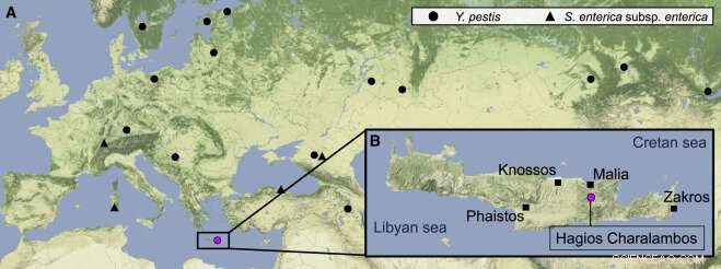 Ancient DNA Reveals Pathogens That May Explain the Collapse of Two Civilizations