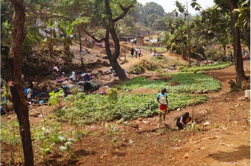 Suburban Areas Struggle with Poor Access to Essential Services