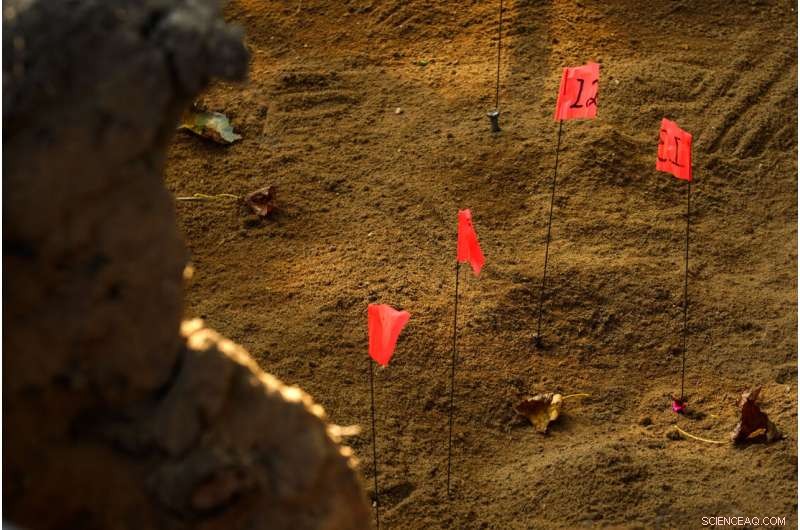 12 Hessian Soldiers  Remains Unearthed at Revolutionary War Battle Site