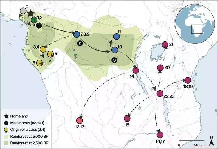 New Study Reveals Early Bantu Speakers Traveled Through Central African Rainforest 4,000 Years Ago